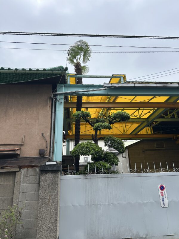 Bugs are chasing us out of the house! – Day 40 – Oct 12, 2025