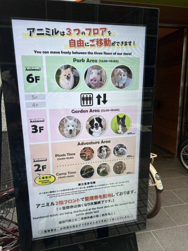 Close encounters with a capybara at Animeal, Big Step again, and beef katsu for a delicious dinner – Day 64 – Nov 5, 2025