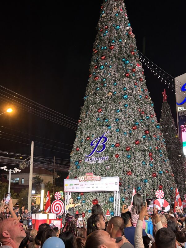 Gingerbread houses! And snow?? Day 102 – Dec 13, 2025