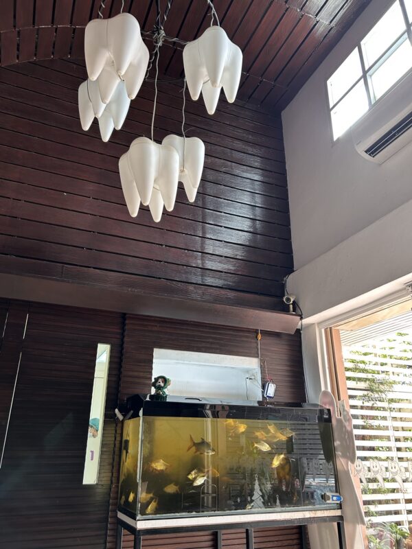 My not-so-fun trip(s!) to the dentist – Day 112 – Dec 23, 2025