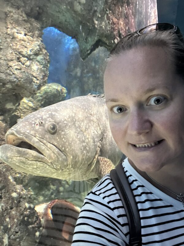 Museum of Oceanography – Day 145 – Jan 25, 2026