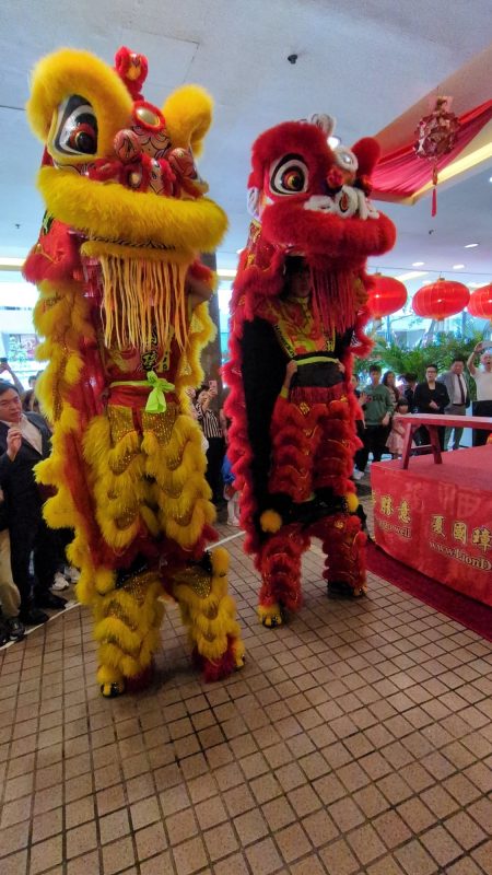 A good day for Joe and the girls, not so much for me – Day 173 – Feb 22, 2026