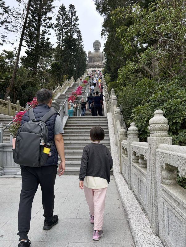 That’s a lot of stairs! – Day 176 – Feb 25, 2026